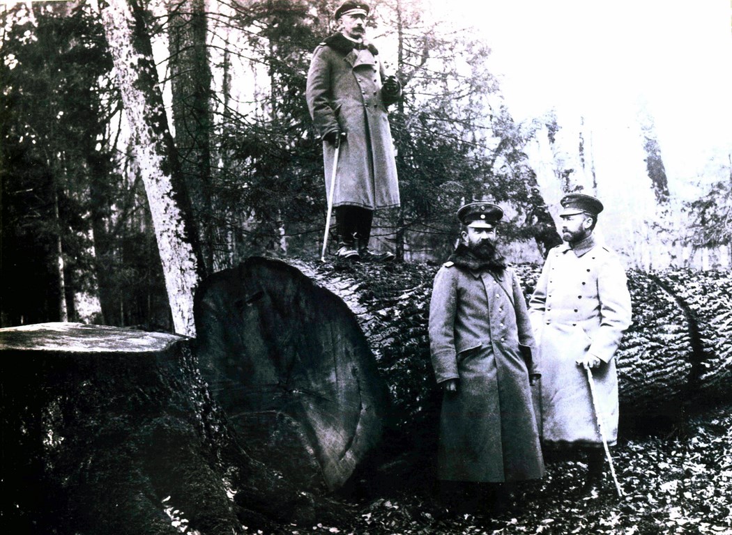 Niemieccy oficerowie przy ściętym debie w czasie I wojny św_zdjęcie ze zbirów Piotra Bajko