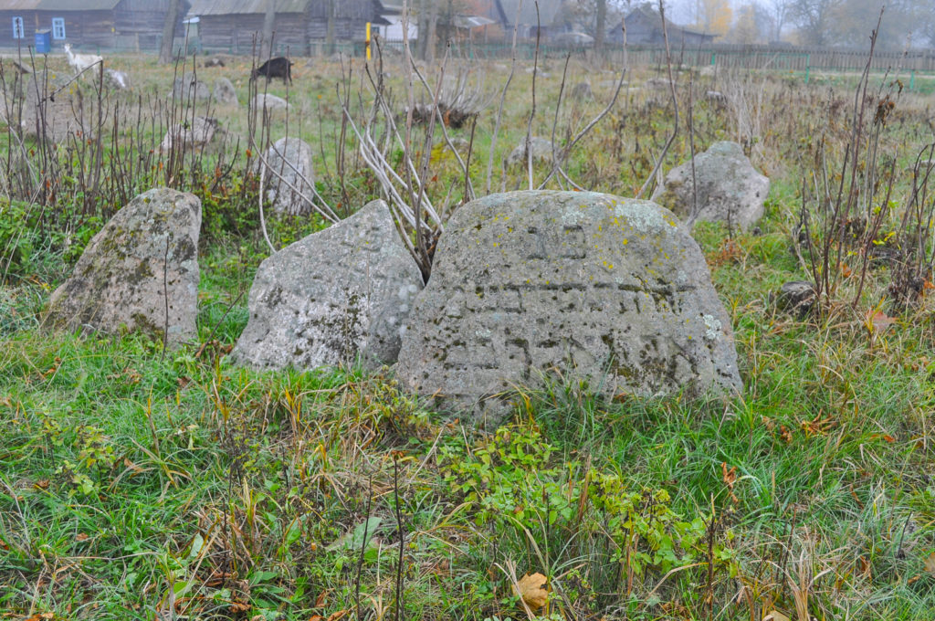 Matzevah in the Jewish cemetery in Szereszewo, 2016, photo by Katarzyna Winiarska 