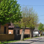 Stoczek panorama 2016. Zdjęcie Katarzyna Winiarska (2)