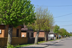 Stoczek panorama 2016. Zdjęcie Katarzyna Winiarska (2)