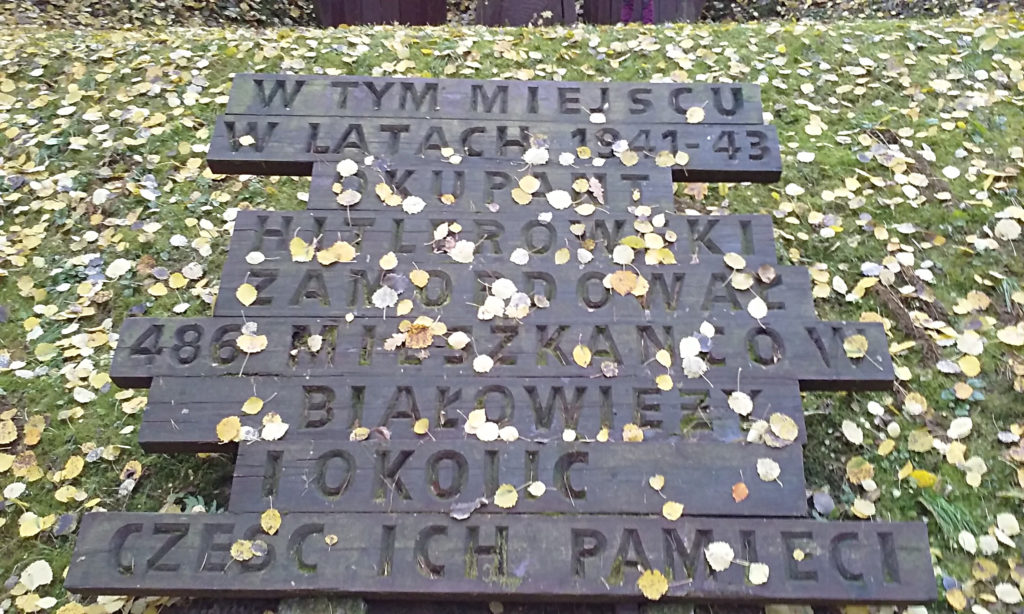 Żwirownia Jagiellońskie (Podolany) 